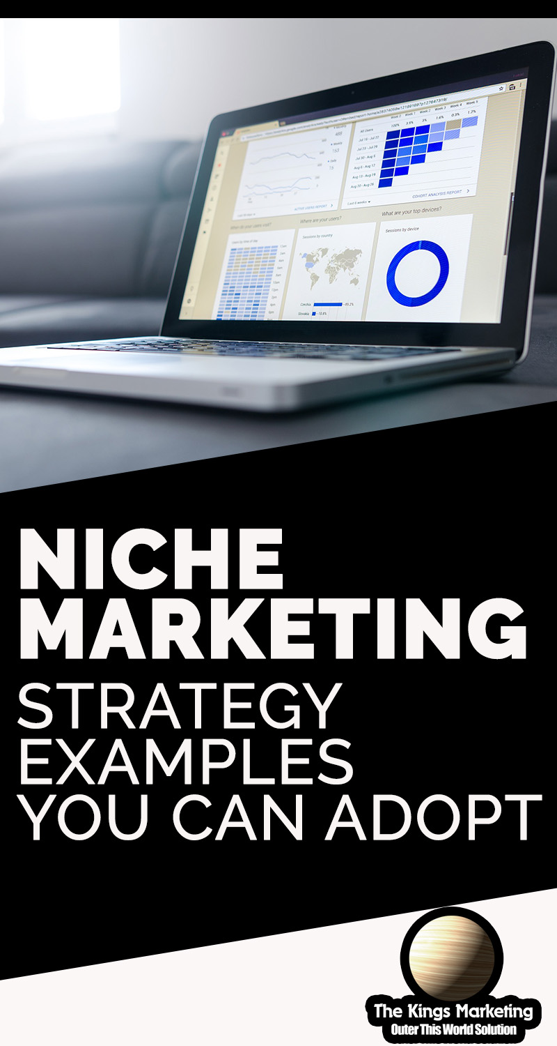 Niche Marketing Strategy Examples You Can Adopt